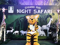 -清迈夜间动物园
