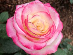 -人民公园(罗湖区)