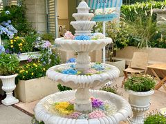 -苏小糖(鼓浪屿三丘田花园店)