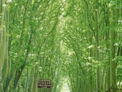 -南京东郊国宾馆