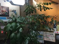 -咸草酱蟹