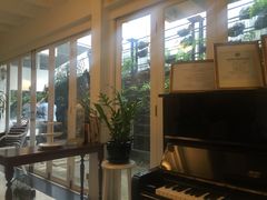 -Fern Forest Cafe