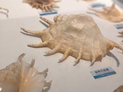 -陕西自然博物馆