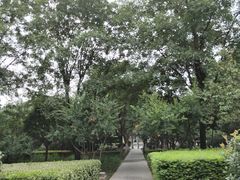 -唐城墙遗址公园