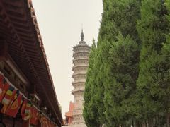 -赵州桥景区