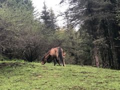-硗碛藏寨·神木垒景区