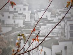 -婺源风景区