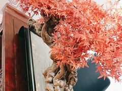 -顺峰(农展馆店)