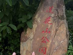-莲花山公园