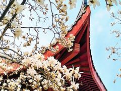 -堤角公园
