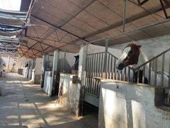 -月河湾马术俱乐部(朝阳店)