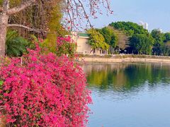 -东山湖公园