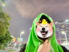 -天河体育中心游泳馆