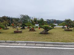 -广西壮族自治区药用植物园