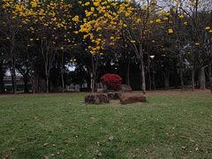 -光明港公园