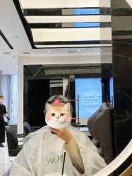 -17.壹柒·美学高定空间