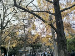 -四川大学(华西校区)