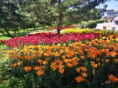 -长春公园(普阳街道)