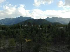 android_upload_pic-坪山湿地公园