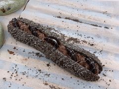 -奈雪的茶(新天地广场PRO店)