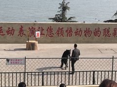 -东方熊牧场