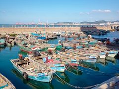 -悦海公园
