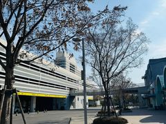 -上海海昌海洋公园-停车场