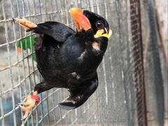 -森林公园(尖草坪区)