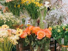 -花生FM_FLOWERS
