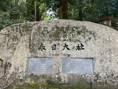 -奈良公园