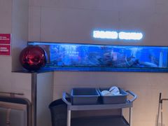 -老板恋上鱼(恒隆广场店)