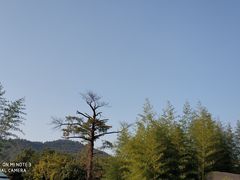 -敬亭山风景名胜区