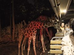 -清迈夜间动物园