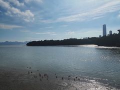-深圳湾公园(南山区)
