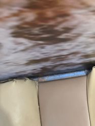 -卡通尼·Safari非洲探索乐园·生日会(金桥国际商业广场店)