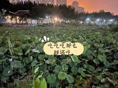 -光明港公园