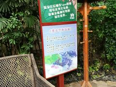 -仁爱团泊湖温泉中心