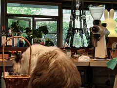 -咖法森林·咖啡  酒吧(天河店)