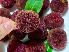 -温州一家人美食(西木头市店)