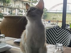 -喜洲吧·江畔老船厂·庭院餐厅(喜临院店)