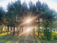 -北极村旅游风景区