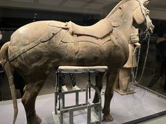 -秦始皇帝陵博物院(兵马俑)