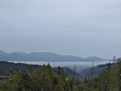 -碧峰峡风景区