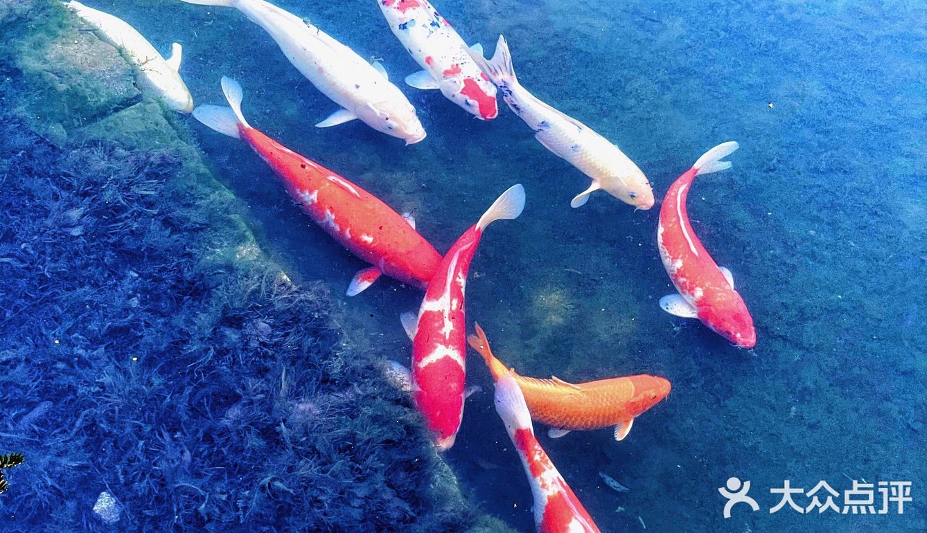 抬头见喜[爱心]帝都文艺又好喝的咖啡店☕️