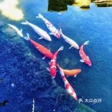 抬头见喜[爱心]帝都文艺又好喝的咖啡店☕️