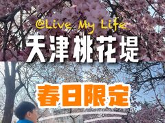 -桃花堤公园