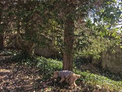 -溪口商量岗景区