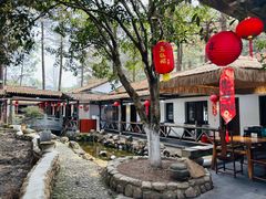 -小小饭店·休闲农庄·安吉松树林里的农家菜