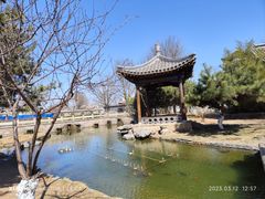 -三里河公园