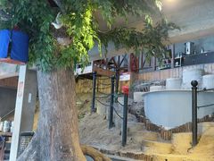 -天怡·鱼工厂(梅溪湖店)